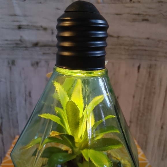 Homedeco Light Up Terrarium - Picture 2 of 7